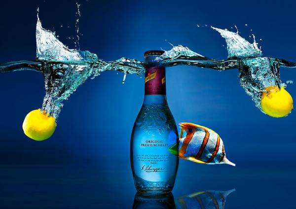 Photograph Sebastian Carbini Princic Aquarium on One Eyeland